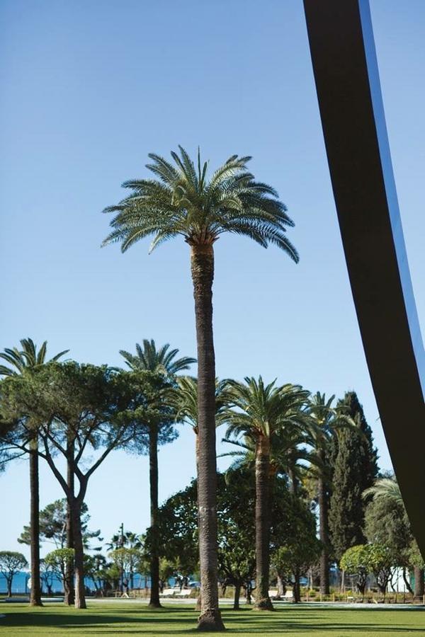Le Prefecture - Luxueux F3 En Duplex, Ascenseur, Coeur Vieux-Nice Exterior foto